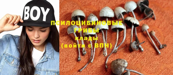 мяу мяу мука Бронницы
