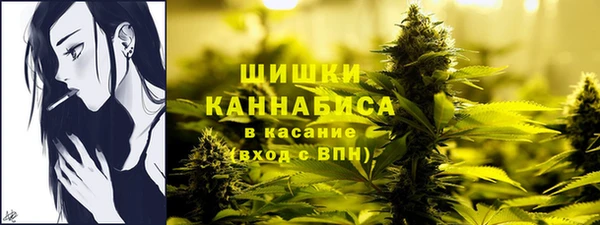 мдма Бородино